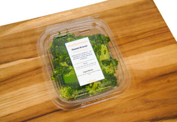 KIDS MENU - Steamed Broccoli